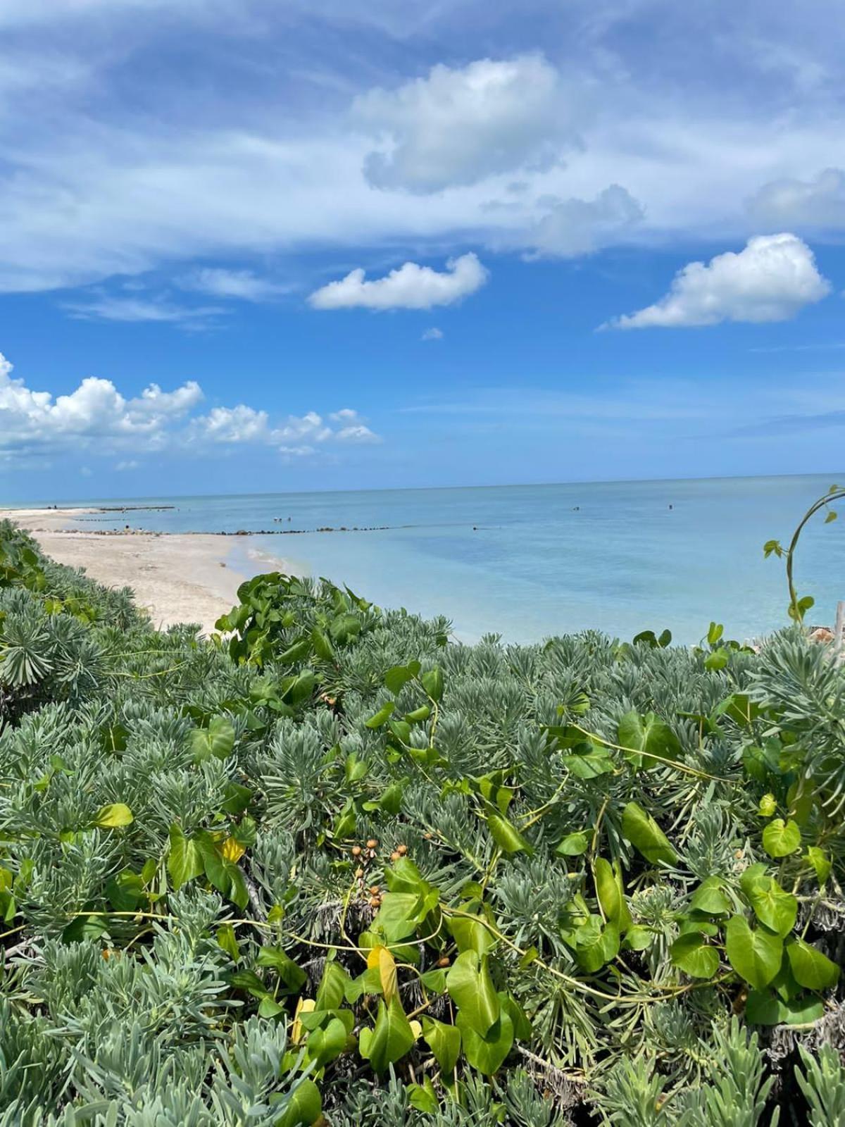 El Paraiso De Capitan Fernando 车勒姆 外观 照片